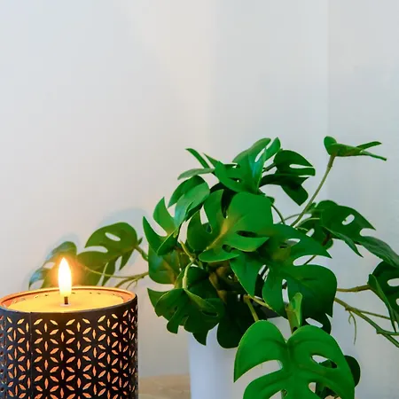 호텔 El Cielito Lindo *