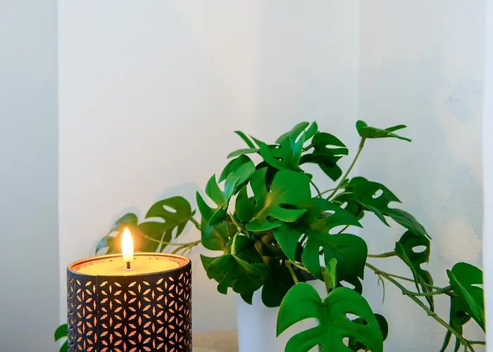 Hotel El Cielito Lindo *