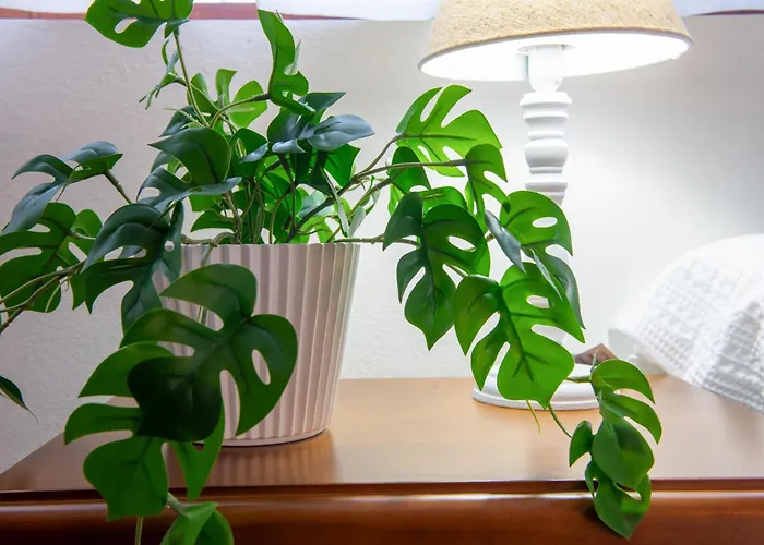 El Cielito Lindo Toñanes