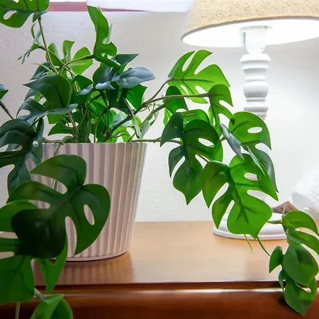 El Cielito Lindo Toñanes